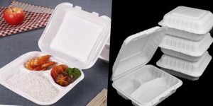 biodegradable lunch box