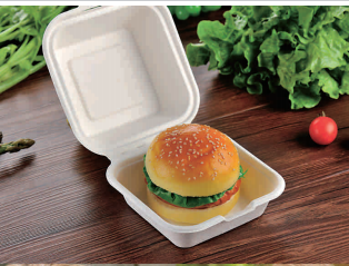 white biodegradable lunch box