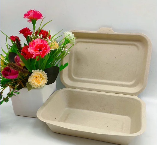 Watsonpak Restaurant Catering Supplier Plant-Based OEM Take Away Wholesale  Takeaway Sugarcane Food Containers with Flat Lids - China Lunch Box,  Packing Box