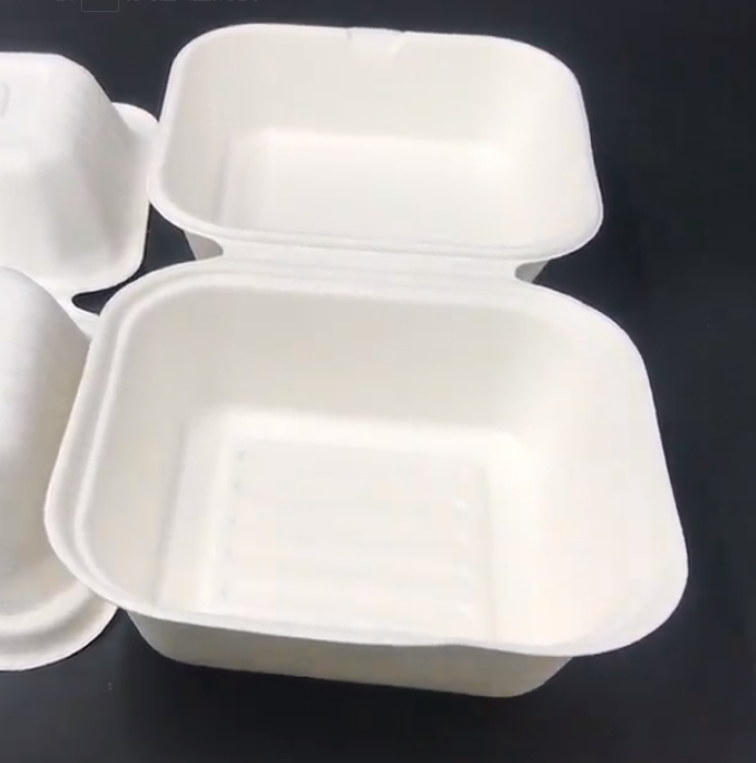 biodegradable food containers manufacturer