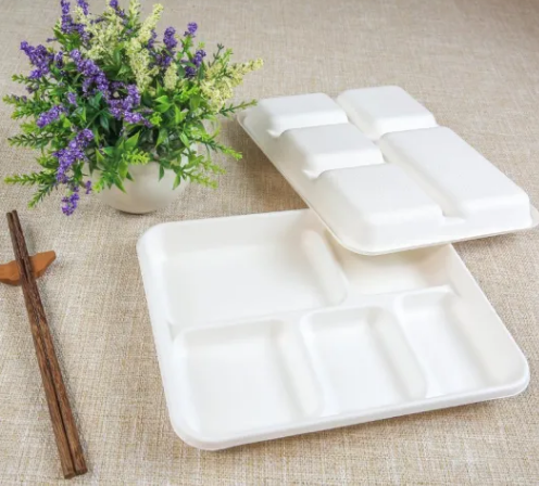 Biodegradable To Go Containers Food Eco Friendly Disposable Sugarcane –  Fastfoodpak