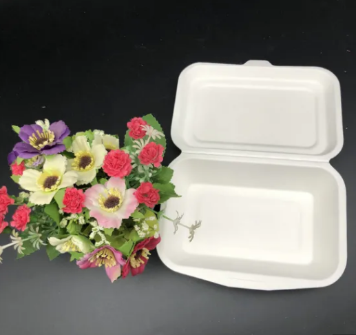 Buy Wholesale China Eco Friendly Composable Food Containers, Take Away  Sugarcane Paper Food Container & Take Away Food Container at USD 0.004