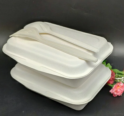 Watsonpak Restaurant Catering Supplier Plant-Based OEM Take Away Wholesale  Takeaway Sugarcane Food Containers with Flat Lids - China Lunch Box,  Packing Box