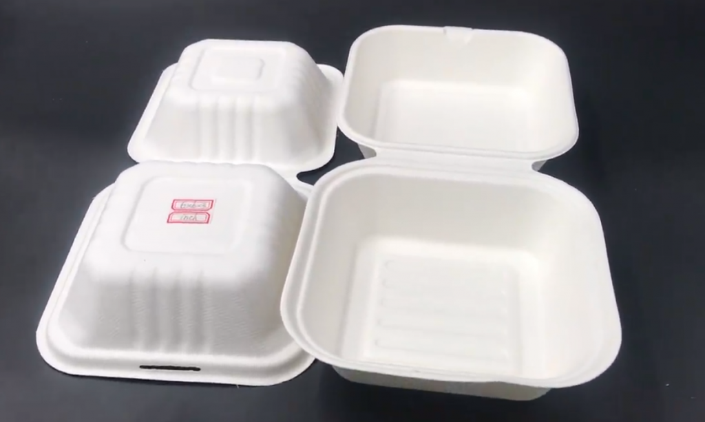 Disposable Biodegradable Food Container Manufacturers, Suppliers